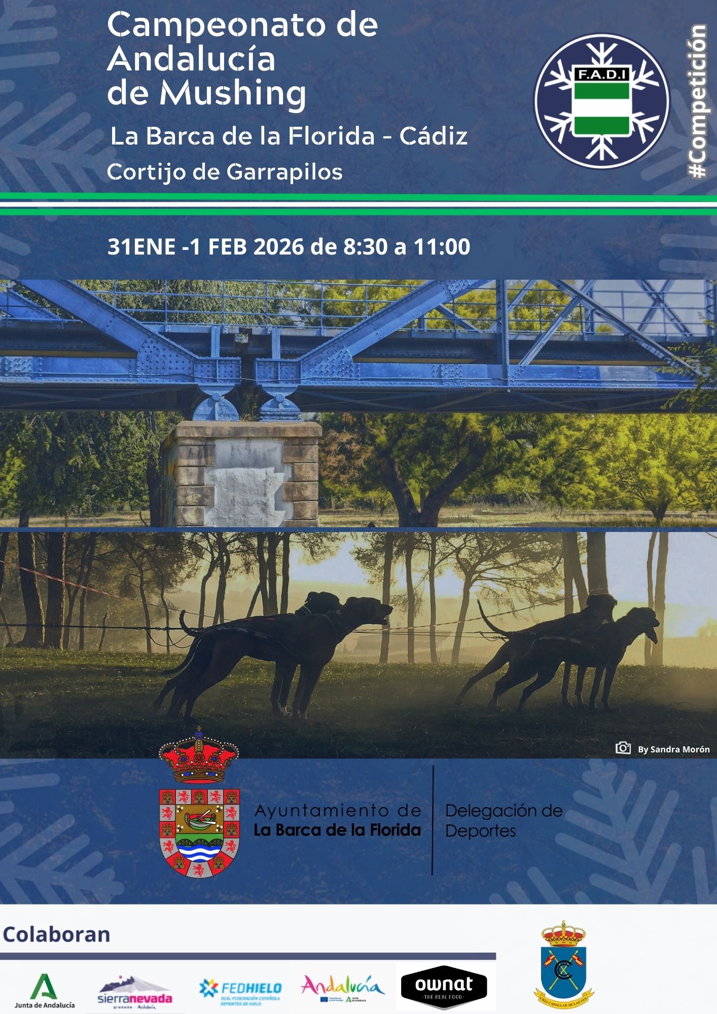 CAMPEONATO DE ANDALUCIA DE MUSHING - LA BARCA DE FLORIDA